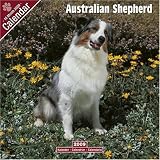 2009 Australian Shepherd Wall Calendar