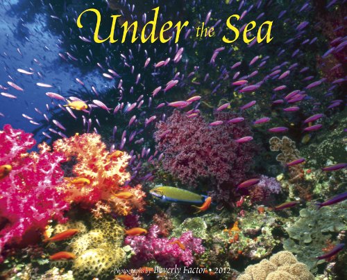 Under the Sea 2012 Calendar