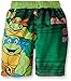 Teenage Mutant Ninja Turtles Boys' Nickelodeon Swim Trunk