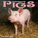 Eigenschaften Avonside Publishing Ltd.  / Kalender 2009 Schweine - Ferkel - Pigs - Schwein - Pig