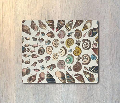Vintage Sea Shell Mouse Pad - Nautical Mouse Pad - Vintage Sea Shell Study - Computer or Office Work Station Decor