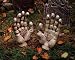 Halloween Yard Decoration Prop Zombie Monster Hands