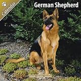 61vHcbaqJAL. SL160  German Shepherd Calendar 2011