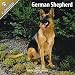 German Shepherd 2011 Wall Calendar #10039-11