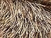 Camel & Brown Eyelash Yarn 50 Gram Ice 22749
