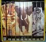 The Complete National Geographic 30 - CD Digital Library