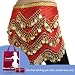 BellyLady Belly Dance Gold Coin Hip Scarf, Zig Style Rectangle
