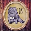 Sad Bear