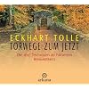 Torwege zum Jetzt: Die drei Techniken zu h�herem Bewusstsein
