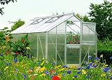 Beckmann Gew�chshaus Typ Allg�u Modell A8 256x319 cm