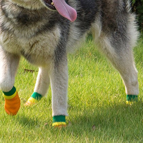 Orange Hund AntiRutschSocken Gummiboden Wasserdicht Softboots für