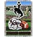 Wyoming Cowboys NCAA Woven Tapestry Throw (Home Field Advantage) (48