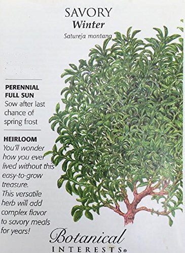Winter Savory Seeds - 200 mg - Perennial Winter Savory Seeds - 200 mg - Perennial