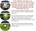 Massive Cash Flow Pack with Earn More Money, Marketing and Inner Game for Chew Toys Internet Businesses 3 CD Power Pack