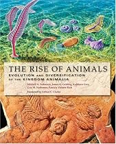 The Rise of Animals: Evolution and Diversification of the Kingdom Animalia
