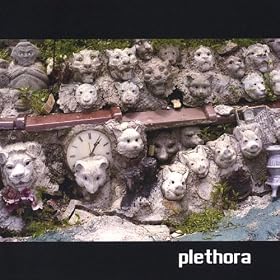 Plethora