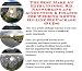 Book The Best Make An Extra Income, Biz Networking and Accounting & Finance for Wedding Gowns On-line Biz Package (3 CDs)