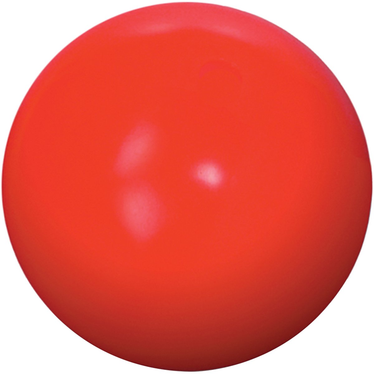 Virtually Indestructible (Hard) Best Ball for Dogs 10inch 531042