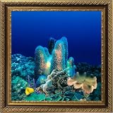 AquaVista AV500CRBALI Wall-Mounted Aquarium AV 500 Coral Reef Background with Libra Frame