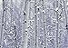 Daniel J. Cox, Dennis Frates, and Art Wolfe: Trees