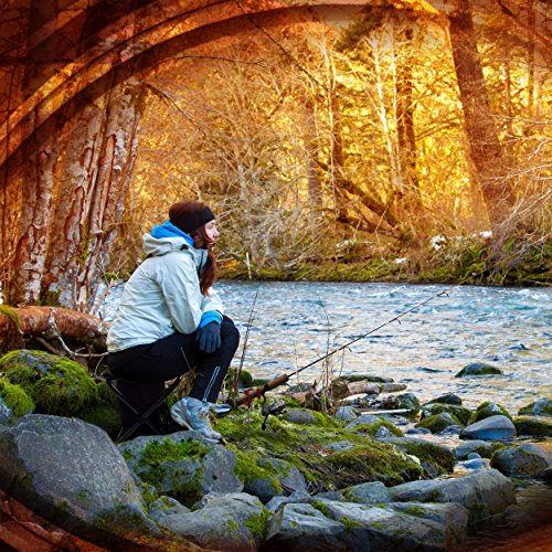 coleman treklite plus 2 in 1