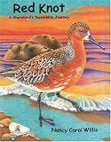 Red Knot: A Shorebird's Incredible Journey