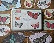 Cavallini Decorative Gift Tags- Butterflies