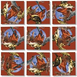 American Desert Wildlife Scramble Squares