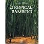 Tropical Bamboo