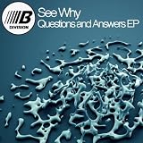 To Many Questions In My Head (Original Mix)