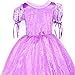 LOEL Deluxe Costume Dress Up Girls Princess Halloween Christmas Party Cosplay Outfit