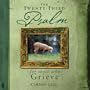 The Twenty-third Psalm for Those who Greive