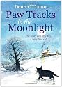 Paw Tracks in the Moonlight