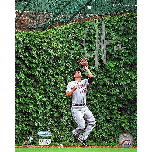 Steiner Sports MLB Jeff Francoeur NY Mets Ivy Catch Vertical Autographed 8-by-10-Inch Photograph