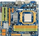 Biostar MATX AMD Motherboard TA780GM2+