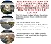 The Insider's How To Earn Extra Money, Biz Networking and Sales Models for Singapore Boats Web Biz 3 CD Course