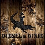 Thumbnail image for ARTIST FEATURE: New DIESEL & DIXIE Album Out!