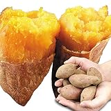 国華園　種子島産　安納芋小芋　5kg1箱　【契約農園:中園ファームさんの安納芋】