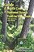 Guide to the North Country National Scenic Trail in Minnesota