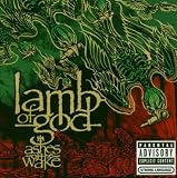 Ashes Of The Wake