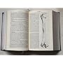 Gray's Anatomy (Barnes & Noble Leatherbound Classi&hellip by F.R.S. Henry Gray