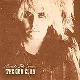 Ahmed`s Wild Dream [VINYL]