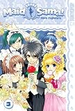 Maid Sama! (Volume 3)
