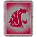 Washington State Jacquard Woven Throw Blanket