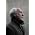 Miniaturansicht von Herman Van Veen