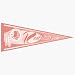 5 Washington Redskins Pink 12 x 30 Pennants
