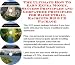 Book The Rich Man's How To Earn Extra Money, Marketing and Success Principles for Racquetball Racquets Businesses 3 CD Combo Pack