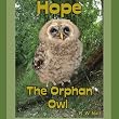 Hope: The Orphan Owl