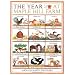 Science books and science stories for young children