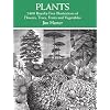 Plants: 2,400 Royalty-Free Illustrations of Flowers, Trees, Fruits and Vegetables: 2400 Designs (Dover Pictorial Archives)